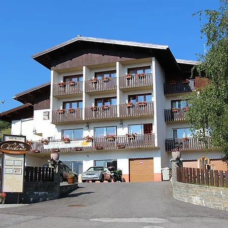 Hotel Le Christania Bellevaux