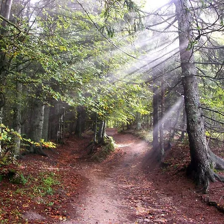 Le Christania Bellevaux